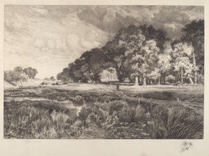Landschap van Long Island door Thomas Moran