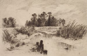 Moerassig landschap met beek door Thomas Moran