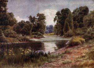 Kew Gardens: Het Meer, Kijkend naar het Zuiden door Thomas Mower Martin