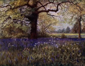 Kew Gardens: Wilde Hyacinten door Thomas Mower Martin