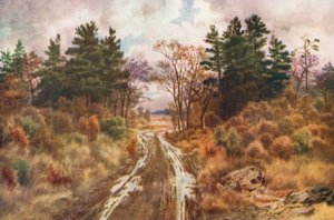 Weg bij de baai van Fundy, herfst (kleurenlitho)