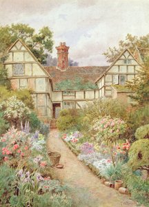 Cottage tuin