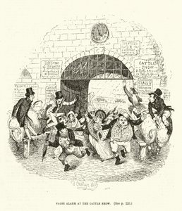 Illustratie voor Valentine Vox (gravure) door Thomas Onwhyn