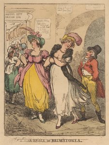 Een paar citroenvlinders door Thomas Rowlandson