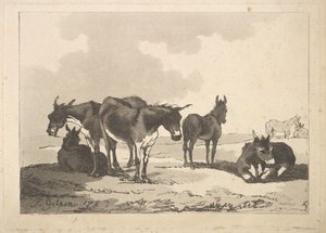 Een groep van vijf ezels, drie staand, twee liggend door Thomas Rowlandson