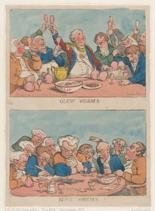 Gloeiwormen, mestwormen