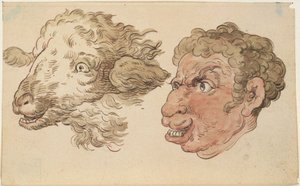 Het hoofd van een man en het hoofd van een schaap door Thomas Rowlandson