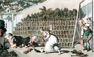 Ongeluk in de Tulpenhal, ca. 1816
