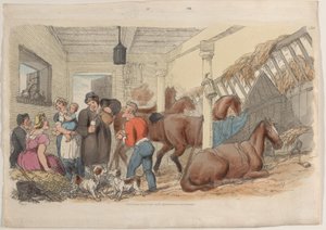 Plaat 36, uit Wereld in Miniatuur, 1816