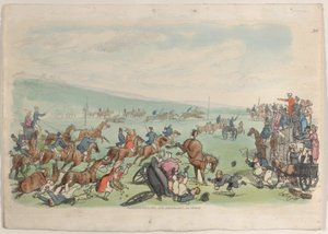 Plaat 39, uit Wereld in Miniatuur, 1816