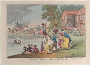 Plattelandsporten: kat in een kom, 24 april 1811