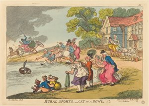 Plattelandssporten. Kat in een Kom. Nr.1