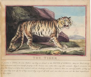 Set van acht met titelpagina. ‘Buitenlandse en inheemse dieren.’ 5. De wolf
