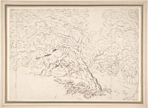 Onderzoek naar bomen door Thomas Rowlandson