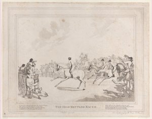 Het renpaard uit Het leven van een renpaard, of De hoogmoedige racer door Thomas Rowlandson