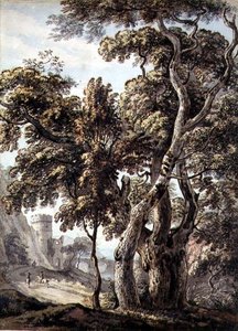 Studie van bomen door Thomas Sandby