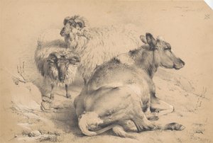 Een koe en twee rammen door Thomas Sidney Cooper