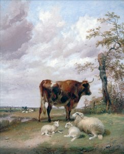 Canterbury Meadows