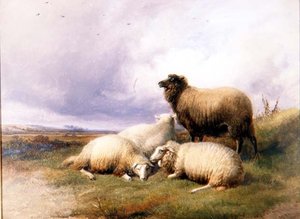 Schapen in een landschap