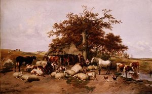 De middagrust