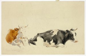 Twee liggende koeien (recto); schets van staande koe (verso) door Thomas Sidney Cooper