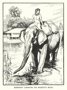 Olifant die de post van Zijne Majesteit draagt