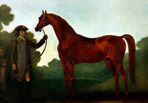 De Arabier van Mr. Charles Wilson met een stalknecht door Thomas Spencer