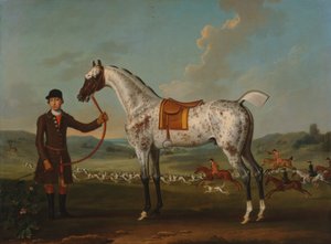 Scipio, een gevlekte jager, eigendom van kolonel Roche