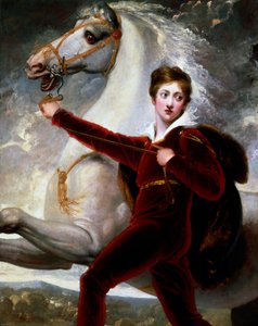 Portret van een jongen in rood fluwelen pak