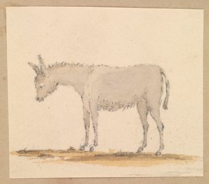 Studie van een ezel, c.1820 door Thomas Streatfeild