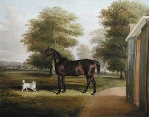 Een Bruin Paard met een Terrier door Thomas W. Bretland