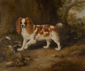 Een spaniël met een dode haas, c.1822-74