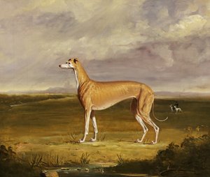 De Greyhound, c.1830