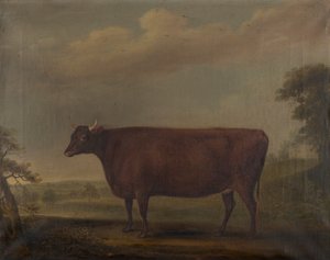 Rode Devon vaarsen in landschap door Thomas Weaver