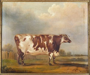 Wildair, een achtjarige vaars in een rivierlandschap, 1827 door Thomas Weaver