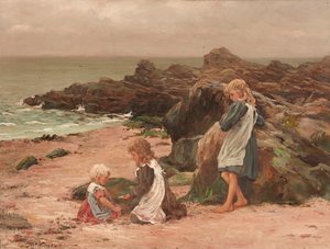 Kinderen op een rotsachtig strand