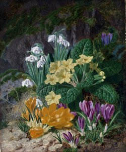 Lentebloemen (waaronder krokussen en primula
