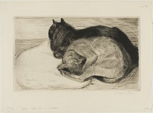 Twee katten op een kussen