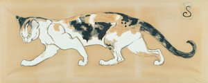De kat