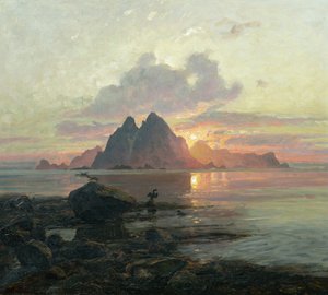 Phalacrocoarax aristotelis in middernachtzon door Thorolf Holmboe