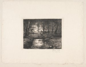 Aa in Borrevejle Bos