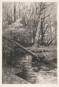 Boslandschap met een beek door Thorvald Niss