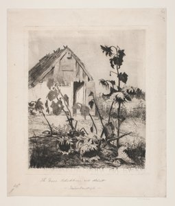 De zonnebloemen bij het huis
