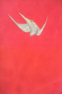 Roze Duik; Giervalk door Tim Hayward