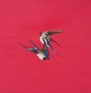 Draai-Rood door Tim Hayward