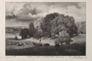 Herfst eiken door Timothy Cole