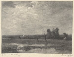 Landschap, Middag door Timothy Cole