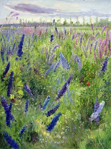 Riddersporen en Opkomende Zon door Timothy Easton