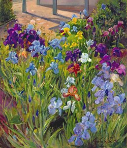 Iris en schaduwen van het zomerhuis, 1996