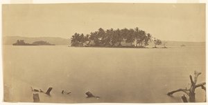 [Landengte van Darién (Panama)] door Timothy H. O